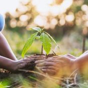 Community Development Program – Building Sustainable Futures